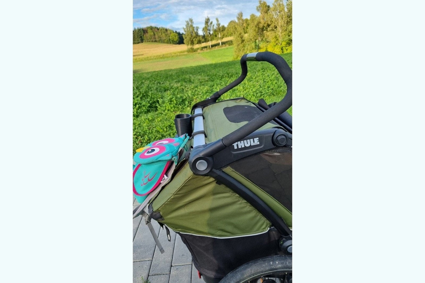Thule Fahrradanhänger Haken universell